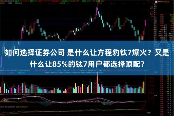 如何选择证券公司 是什么让方程豹钛7爆火？又是什么让85%的钛7用户都选择顶配？