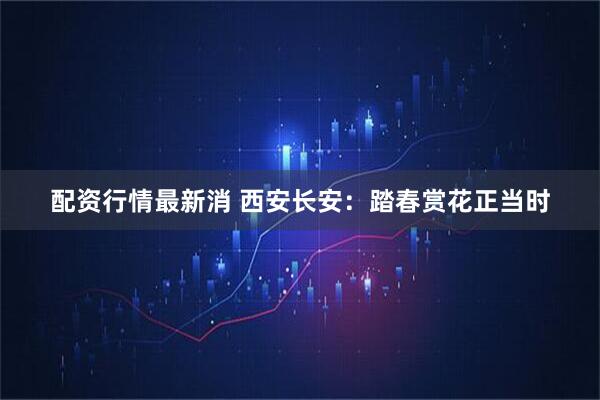 配资行情最新消 西安长安：踏春赏花正当时